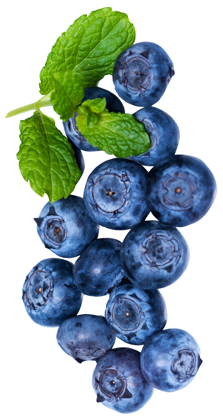 Image of Blueberry Pie